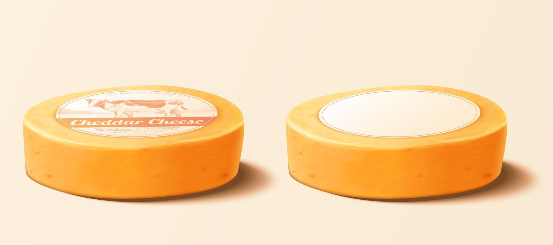 3d queso Cheddar queso ruedas vector