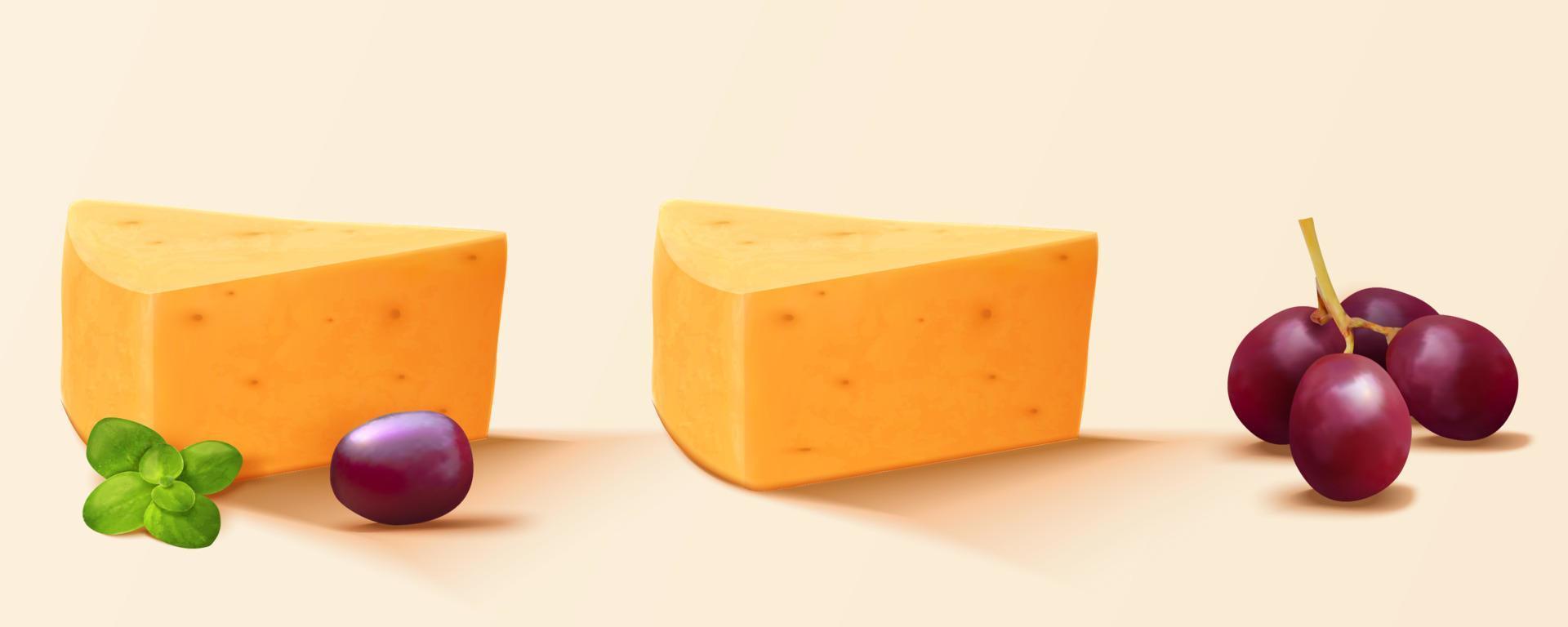 trozos de queso Cheddar queso, uvas, y menta. 3d orgánico comida elemento en un ligero amarillo antecedentes. vector