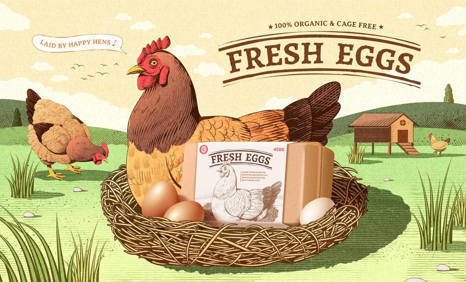 Vintage ad template for fresh farm product in engraving design. A happy hen sits on a nest with egg box mock up. Concept of free range chicken and fresh farm egg. vector