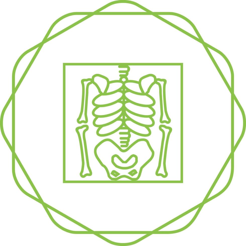 Skeleton Vector Icon