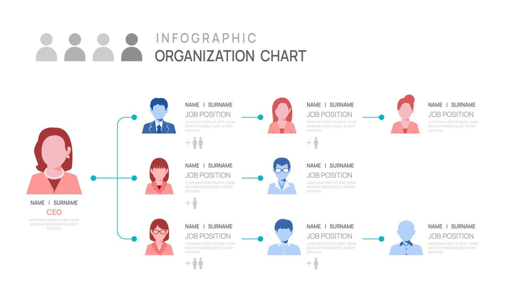 Infographic template for organization chart with business avatar icons. vector infographic for business.