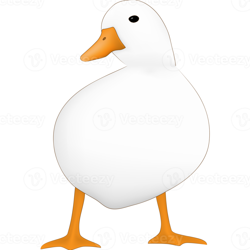 Cute white duck pet animal png