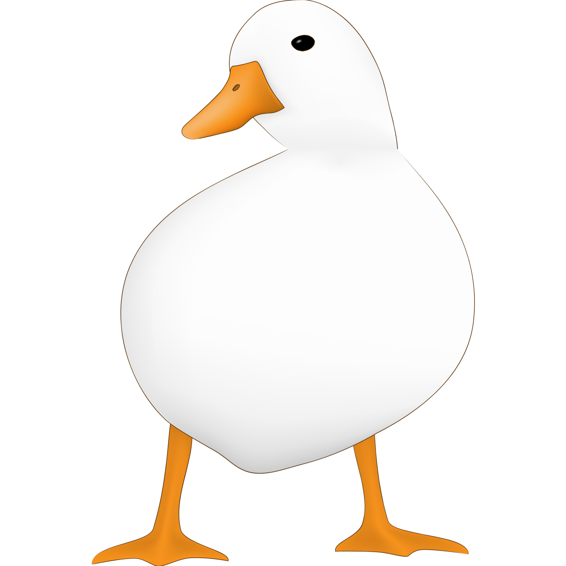 white-duck
