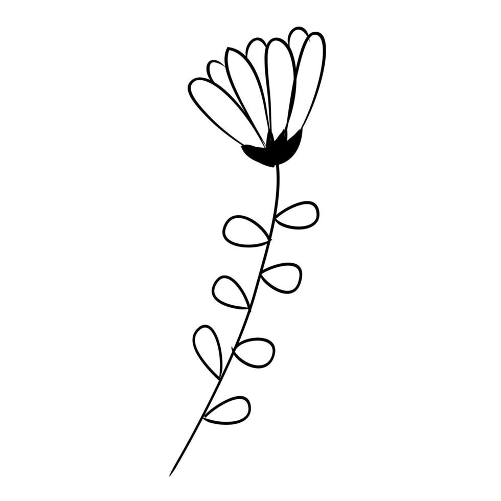 botanical leaf doodle wildflower line art vector
