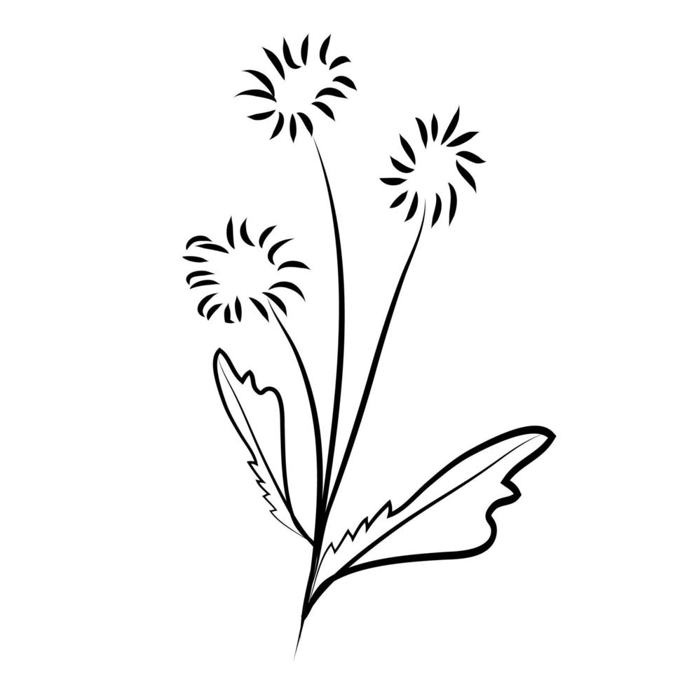 botanical leaf doodle wildflower line art vector