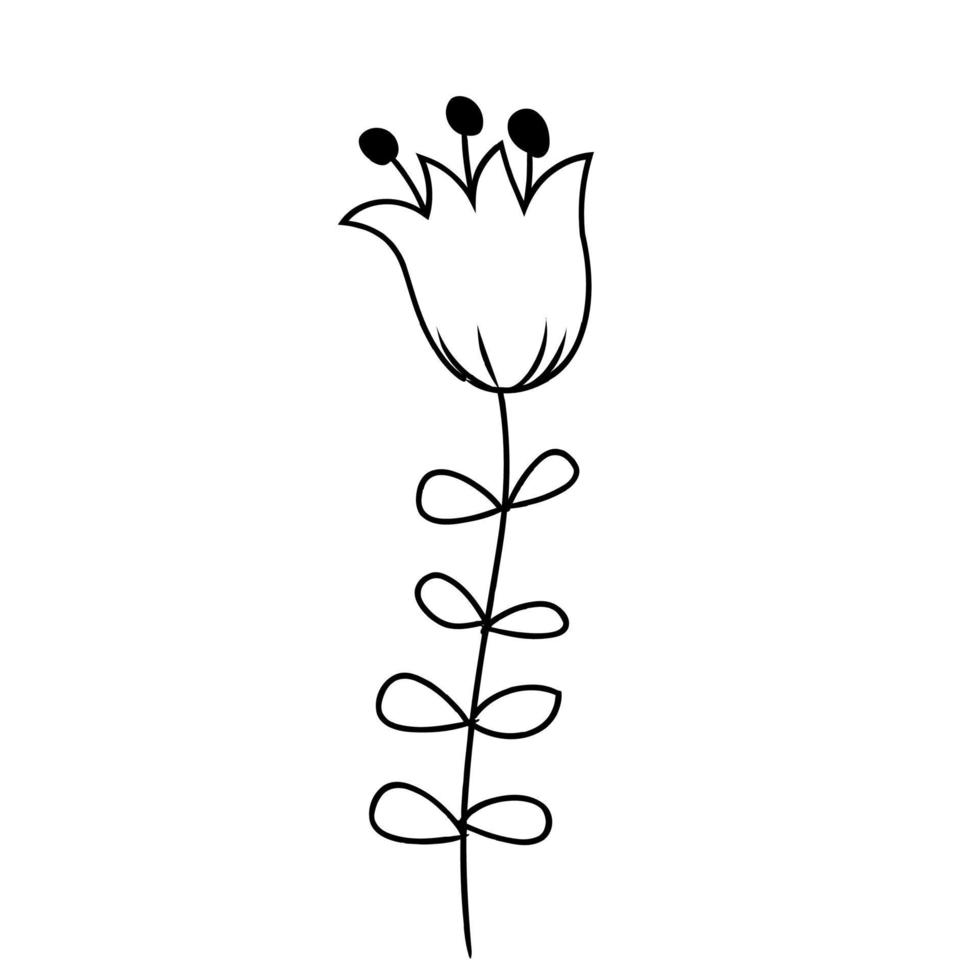 botanical leaf doodle wildflower line art vector