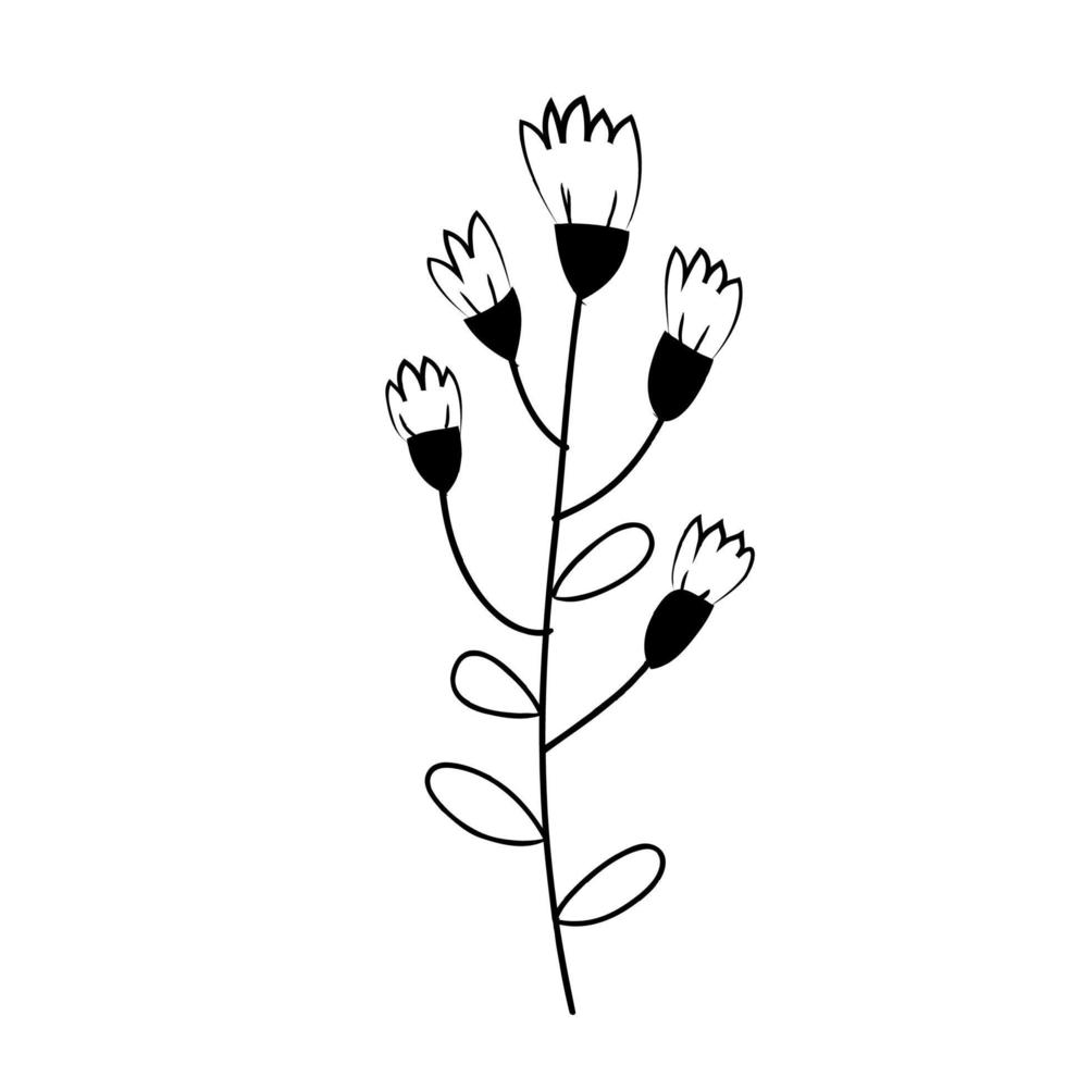 botanical leaf doodle wildflower line art vector
