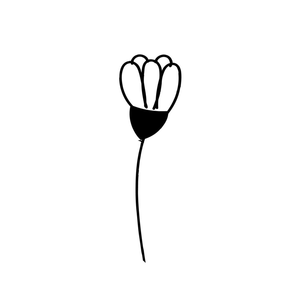 botanical leaf doodle wildflower line art vector