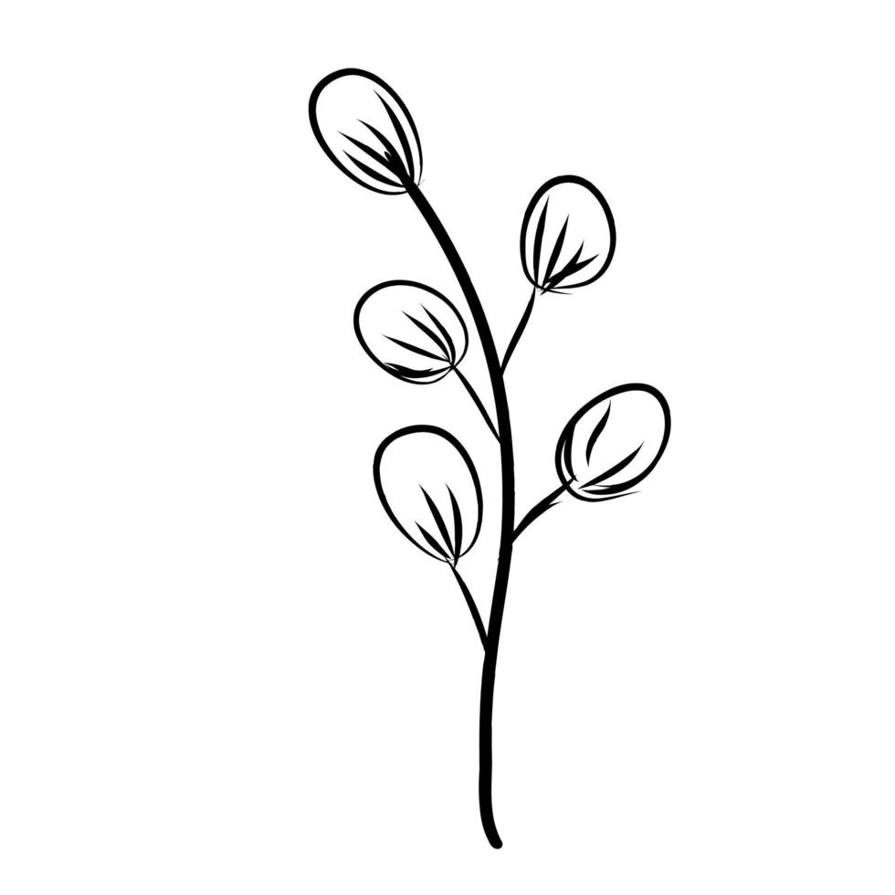 botanical leaf doodle wildflower line art vector