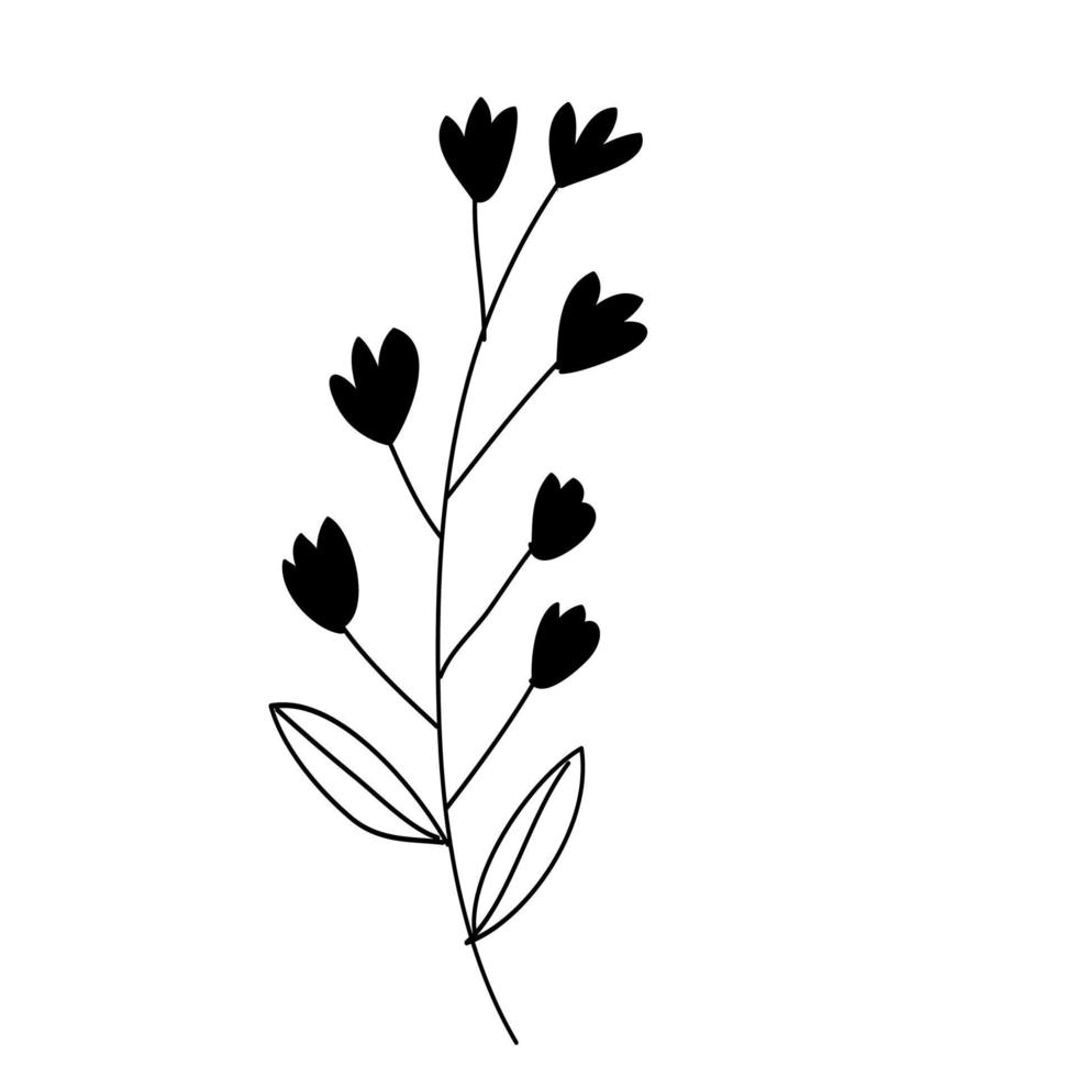 botanical leaf doodle wildflower line art vector