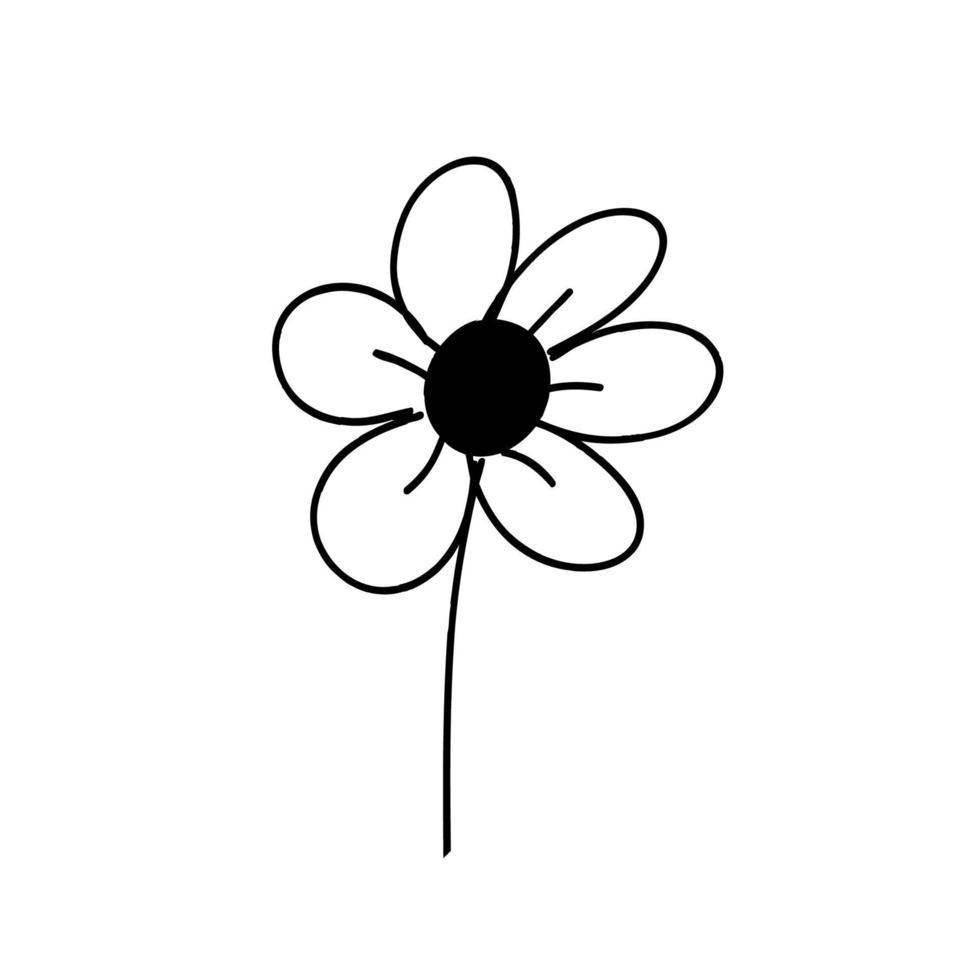 botanical leaf doodle wildflower line art vector