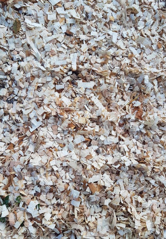 Wood shavings and chips texture photo