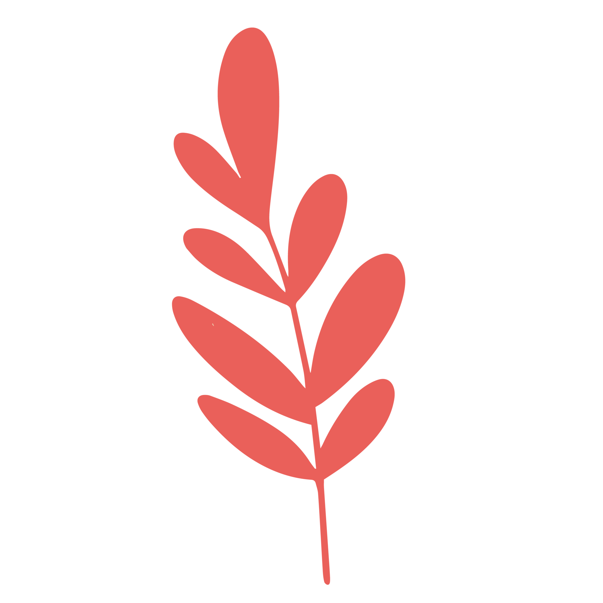 Pink Color Leaf Sign Illustration 22495277 PNG pink-color-leaf-sign-illustration-22495277-png