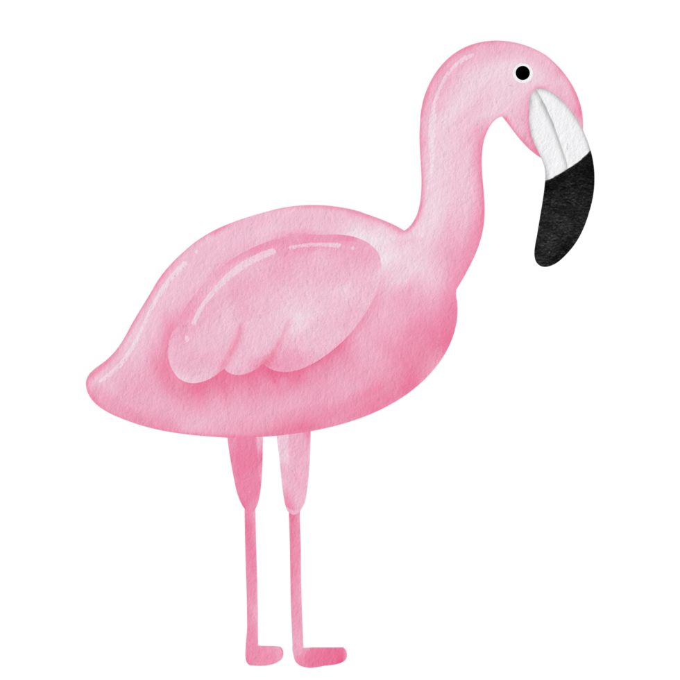 aguarela Rosa flamingo clipart. png