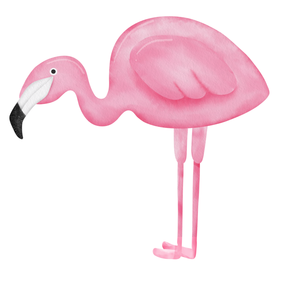 watercolor pink flamingo clipart. png