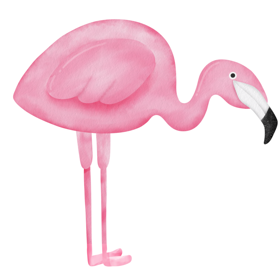 watercolor pink flamingo clipart. png