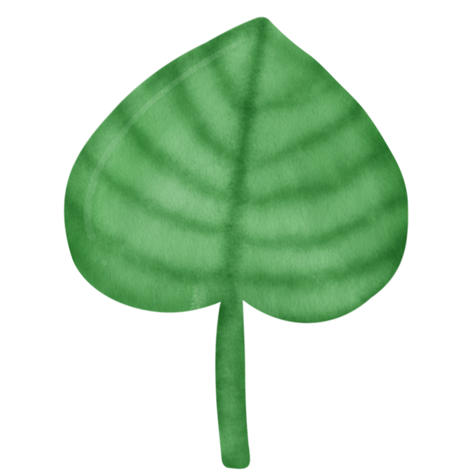 watercolor tropical leaf clipart. png