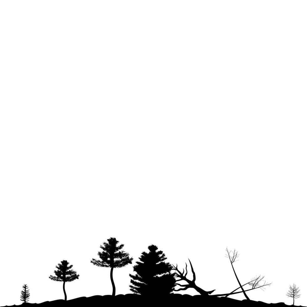 Forest landscape against the sky vector