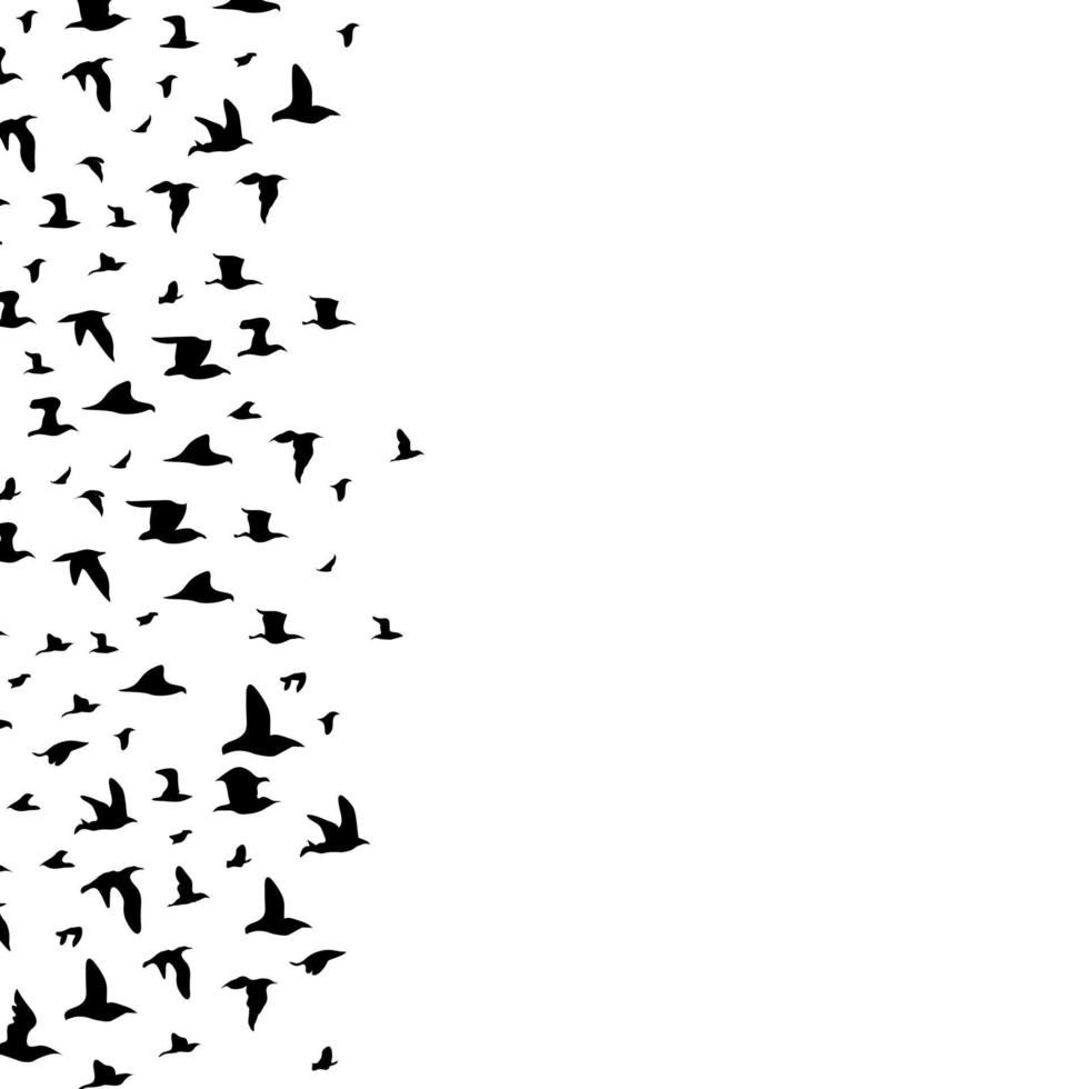 A flock of birds is flying vector