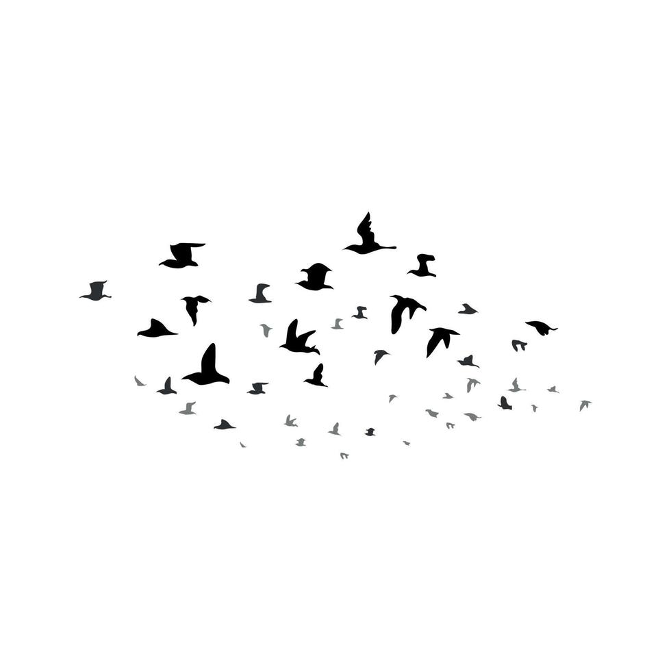 A flock of birds is flying vector