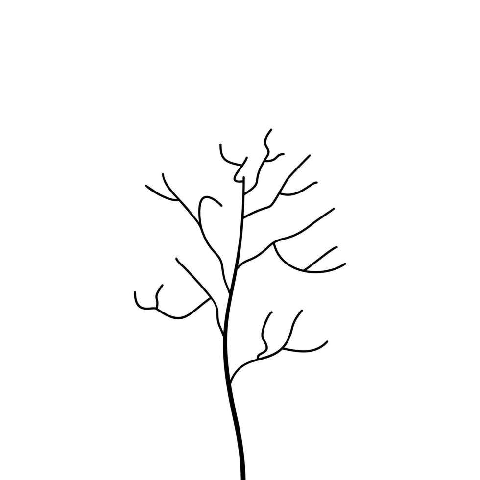 un bosquejo de un árbol vector