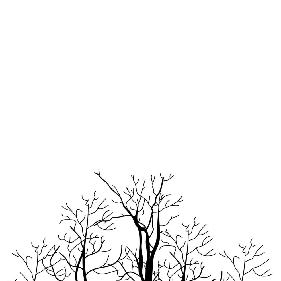 A sketch of a tree vector