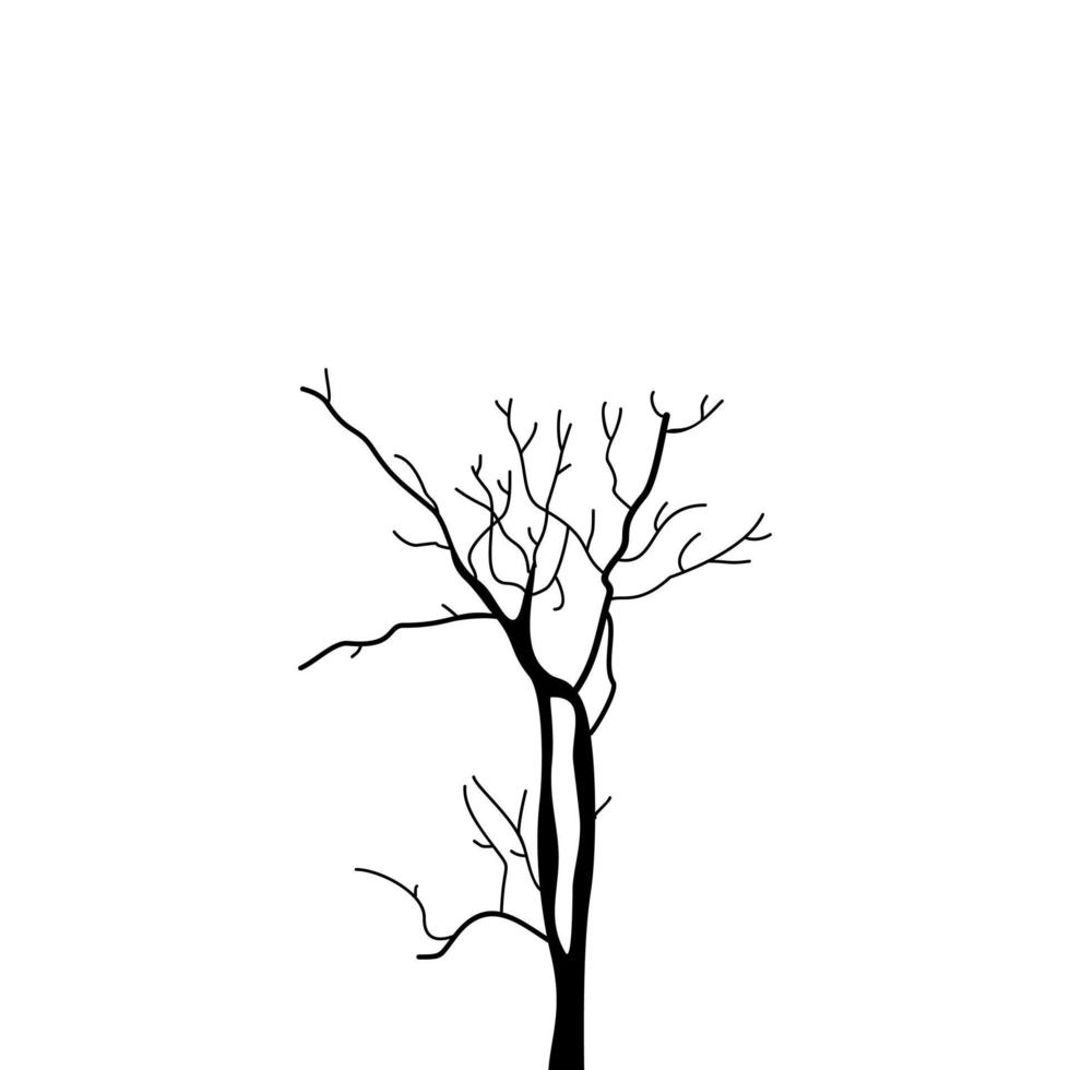 A sketch of a tree vector
