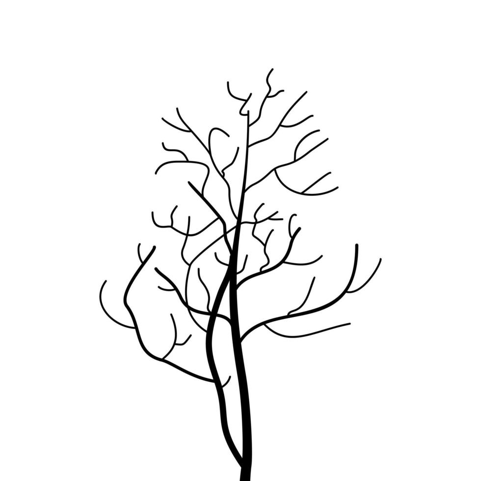 un bosquejo de un árbol vector