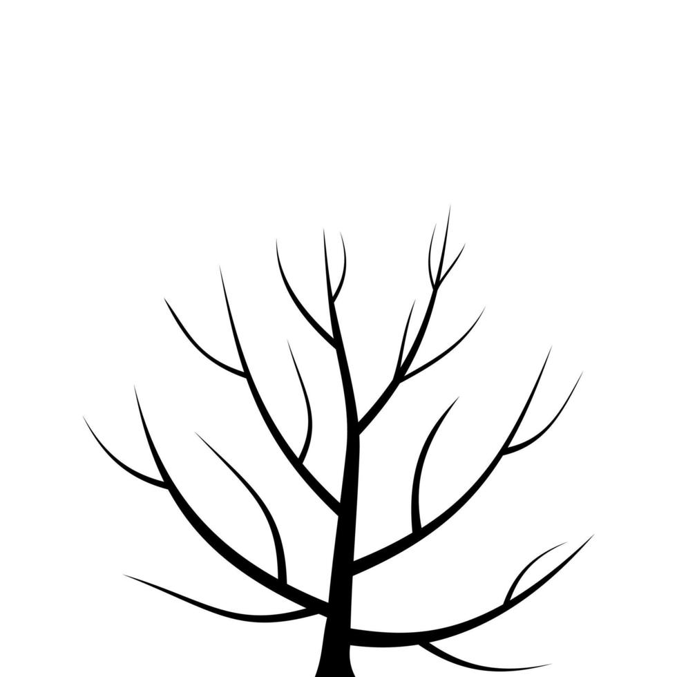 A sketch of a tree vector