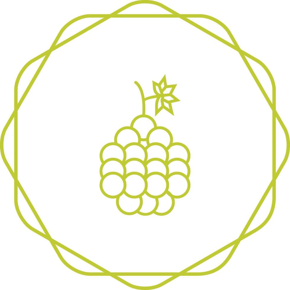 Grapes Vector Icon