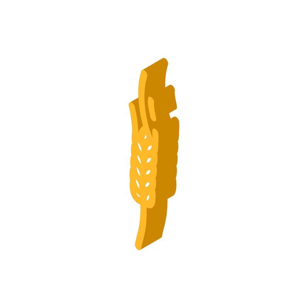 spikelet yellow wheat isometric icon vector illustration