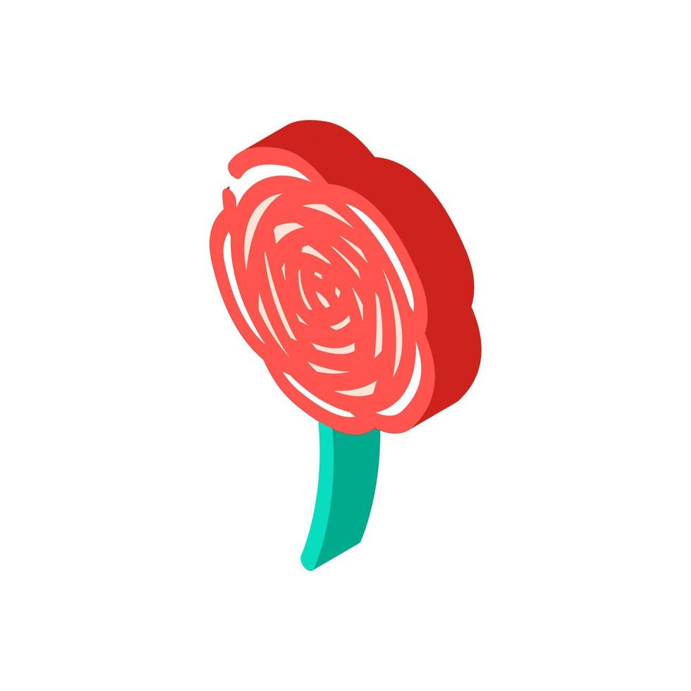 ranunculus flower spring isometric icon vector illustration