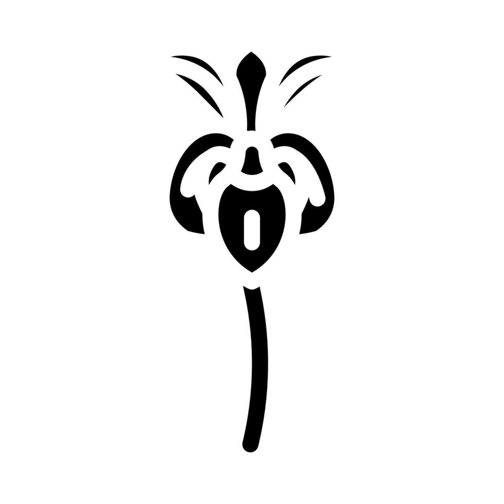 iris flower spring glyph icon vector illustration