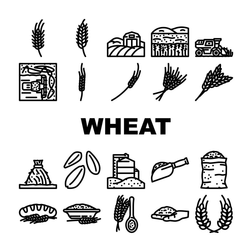 wheat grain cereal plant icons set vector