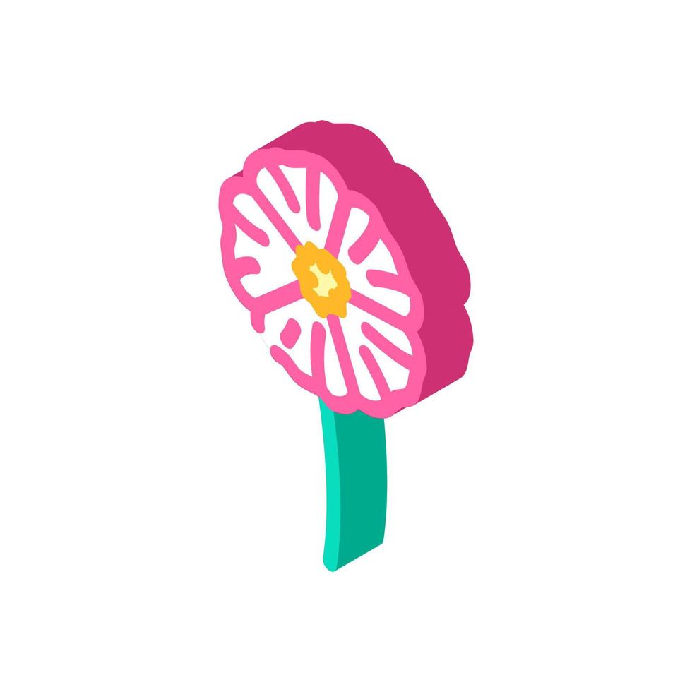 hibiscus flower spring isometric icon vector illustration