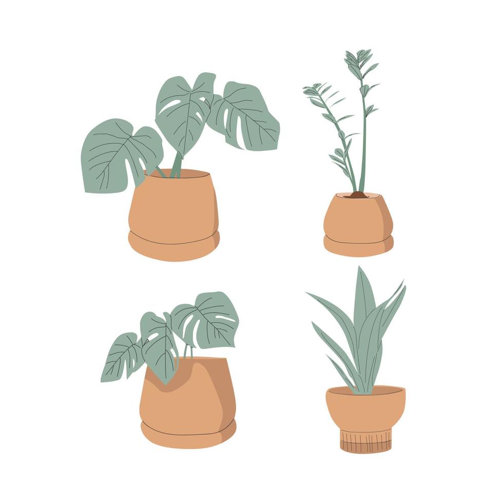 vector ilustración de estético ornamental plantas