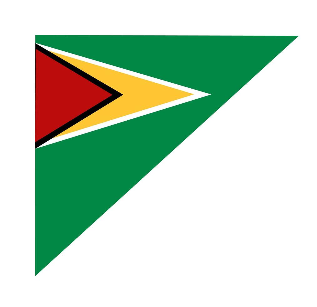 Guyana flag icon, illustration of national flag design with elegance concept, perfect for independence design vector