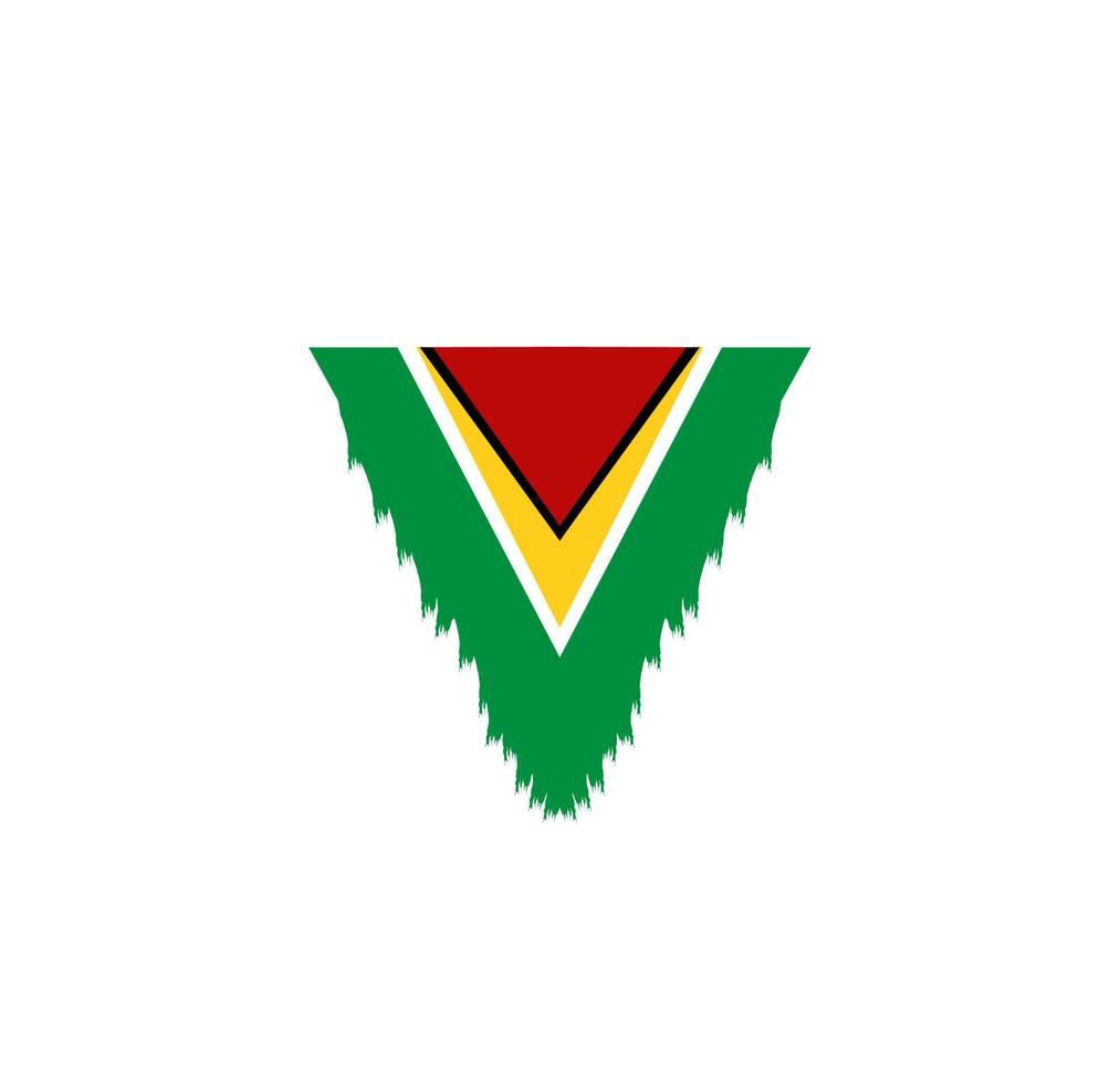 Guyana flag icon, illustration of national flag design with elegance concept, perfect for independence design vector