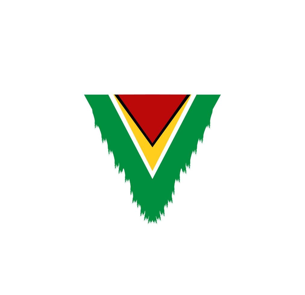 Guyana flag icon, illustration of national flag design with elegance concept, perfect for independence design vector