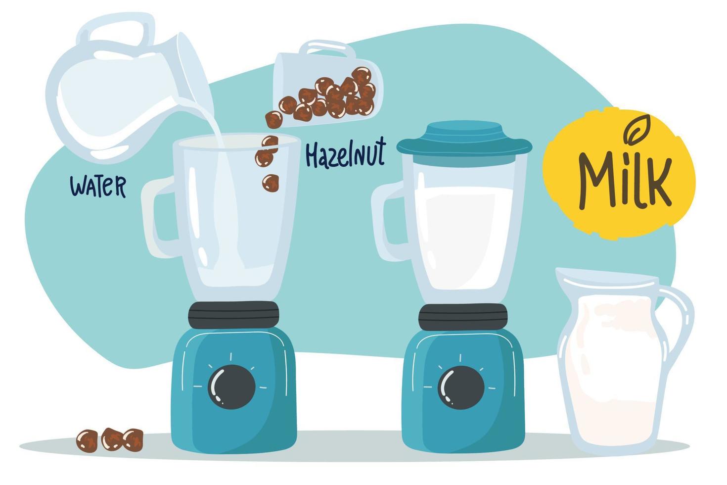 Recipe How to make Vegan hazelnut milk in glass bottle, alternative non dairy drink, vector Illustration on white background