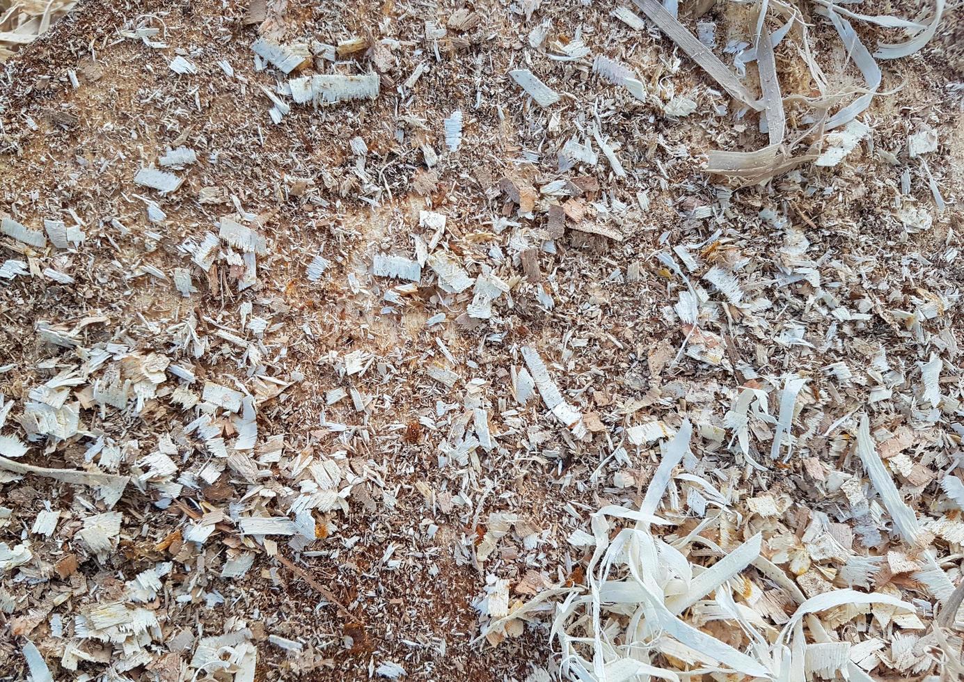 Wood shavings and chips texture photo