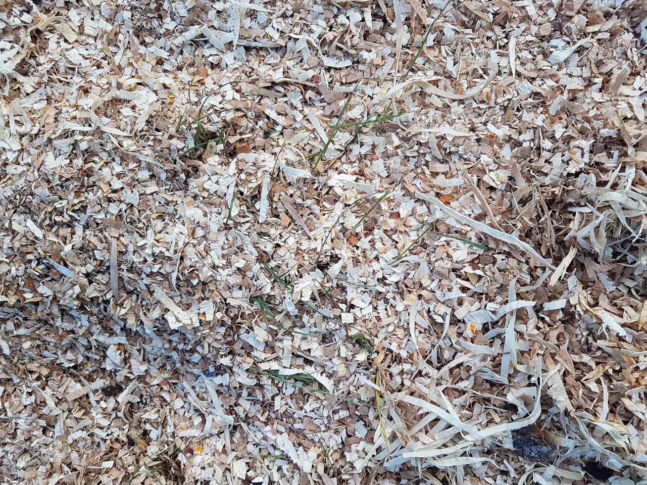 Wood shavings and chips texture photo