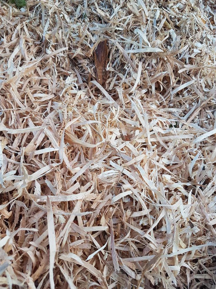 Wood shavings and chips texture photo