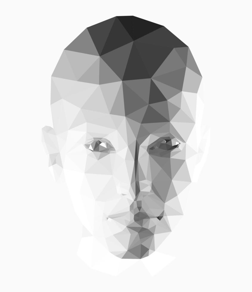 Female head polygonal 3D design. Line- art made by triangular lines.  Low poly design with halftone tonal transitions. vector