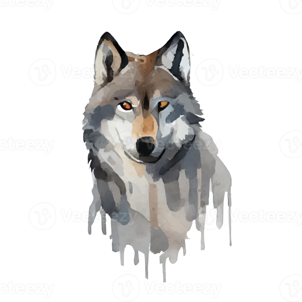 Vintage Watercolor Gray Wolf png