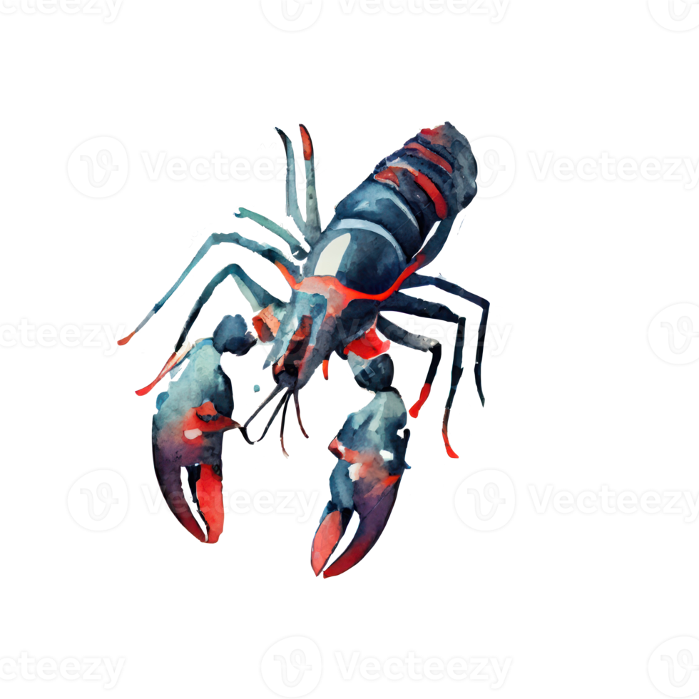 Free Vintage Watercolor Lobster 22505214 PNG with Transparent Background