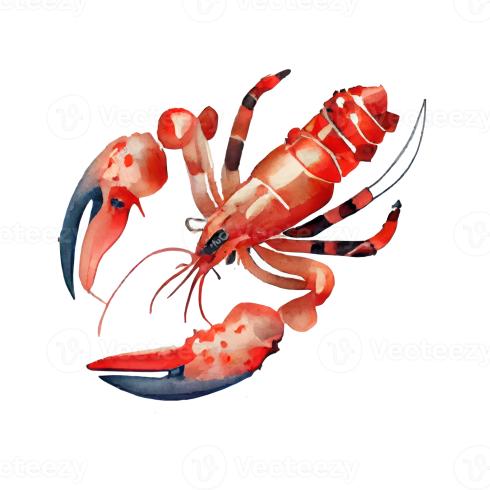 Vintage Watercolor Lobster png