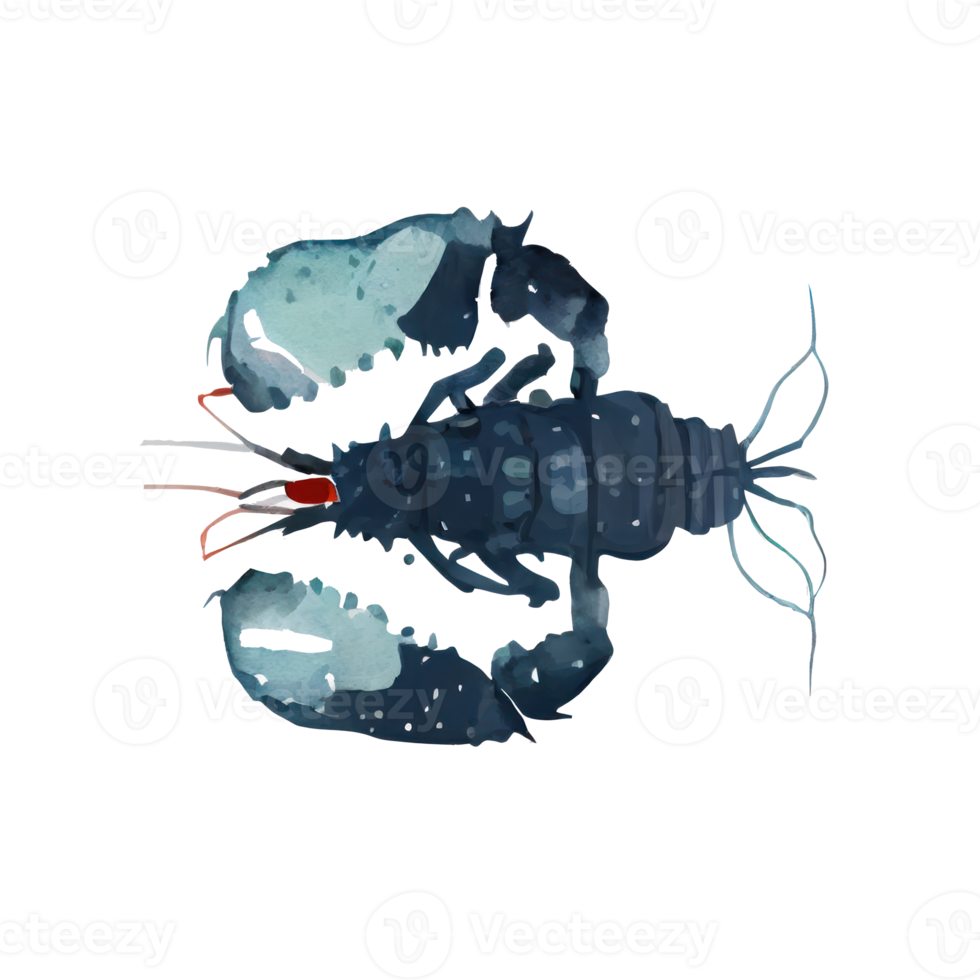 wijnoogst waterverf kreeft png