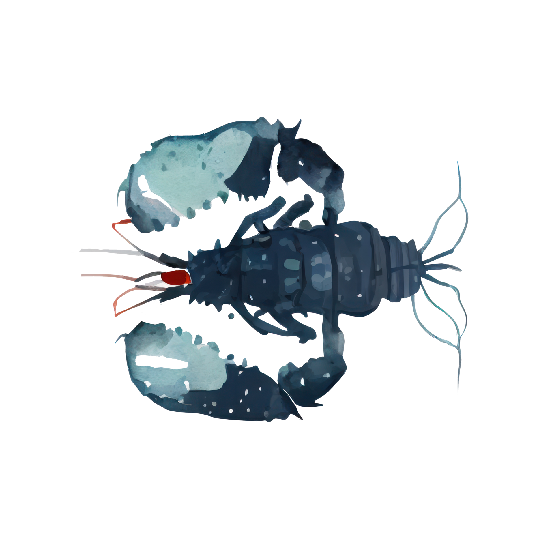 Free Vintage Watercolor Lobster 22505232 PNG with Transparent Background