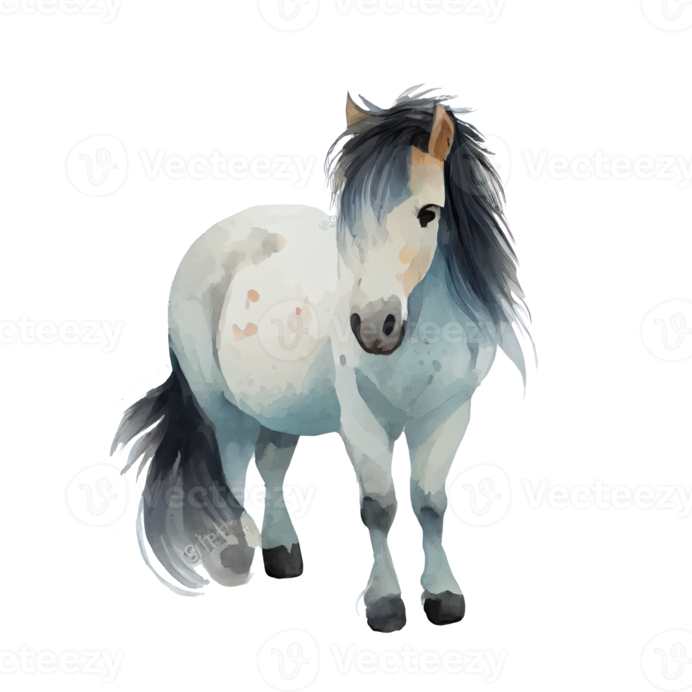 Vintage Watercolor Pony png